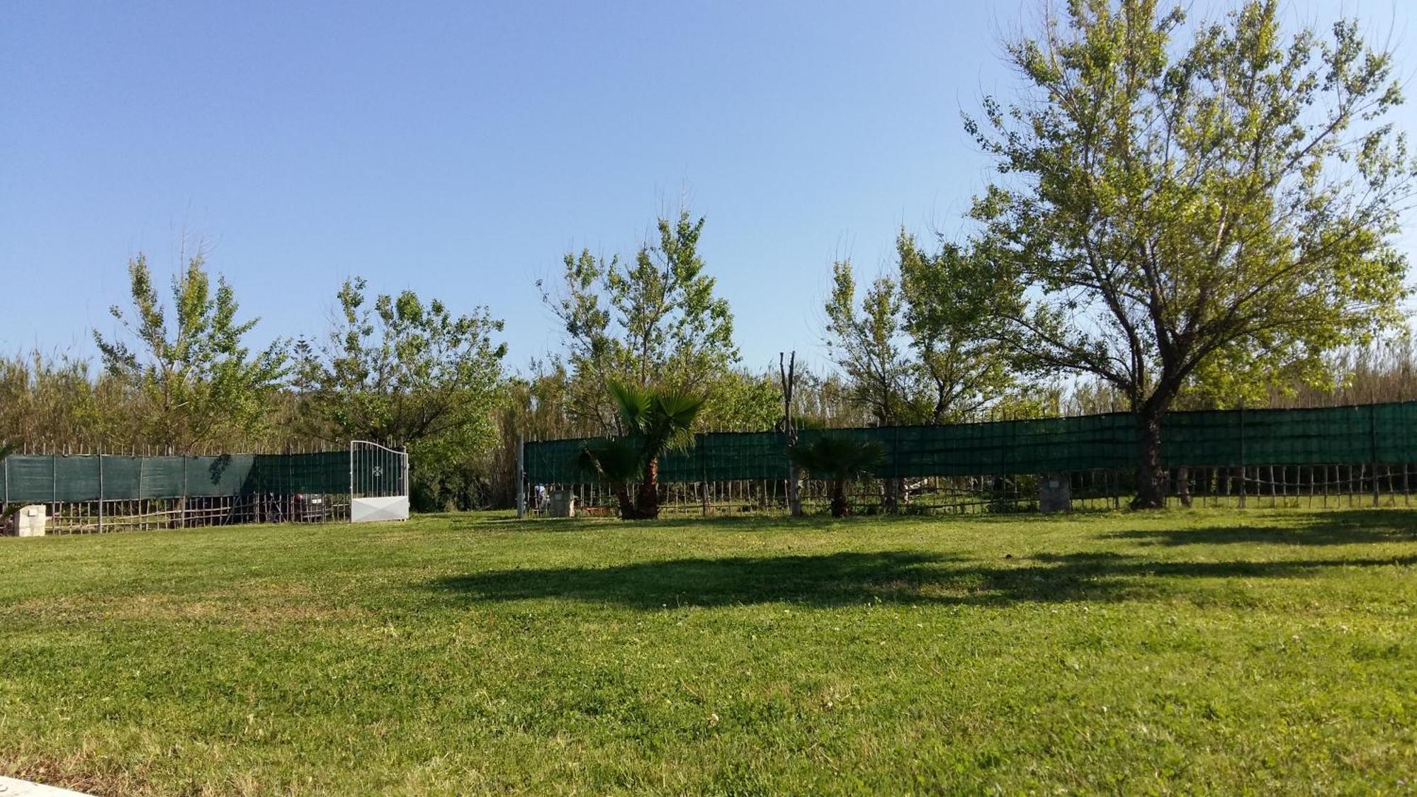Villa Luna A Pochi Passi Dalla Spiaggia 阿沃拉 外观 照片