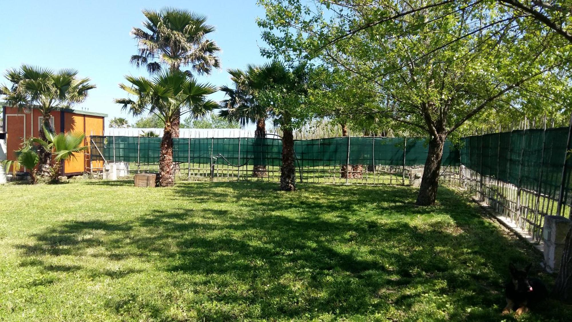Villa Luna A Pochi Passi Dalla Spiaggia 阿沃拉 外观 照片