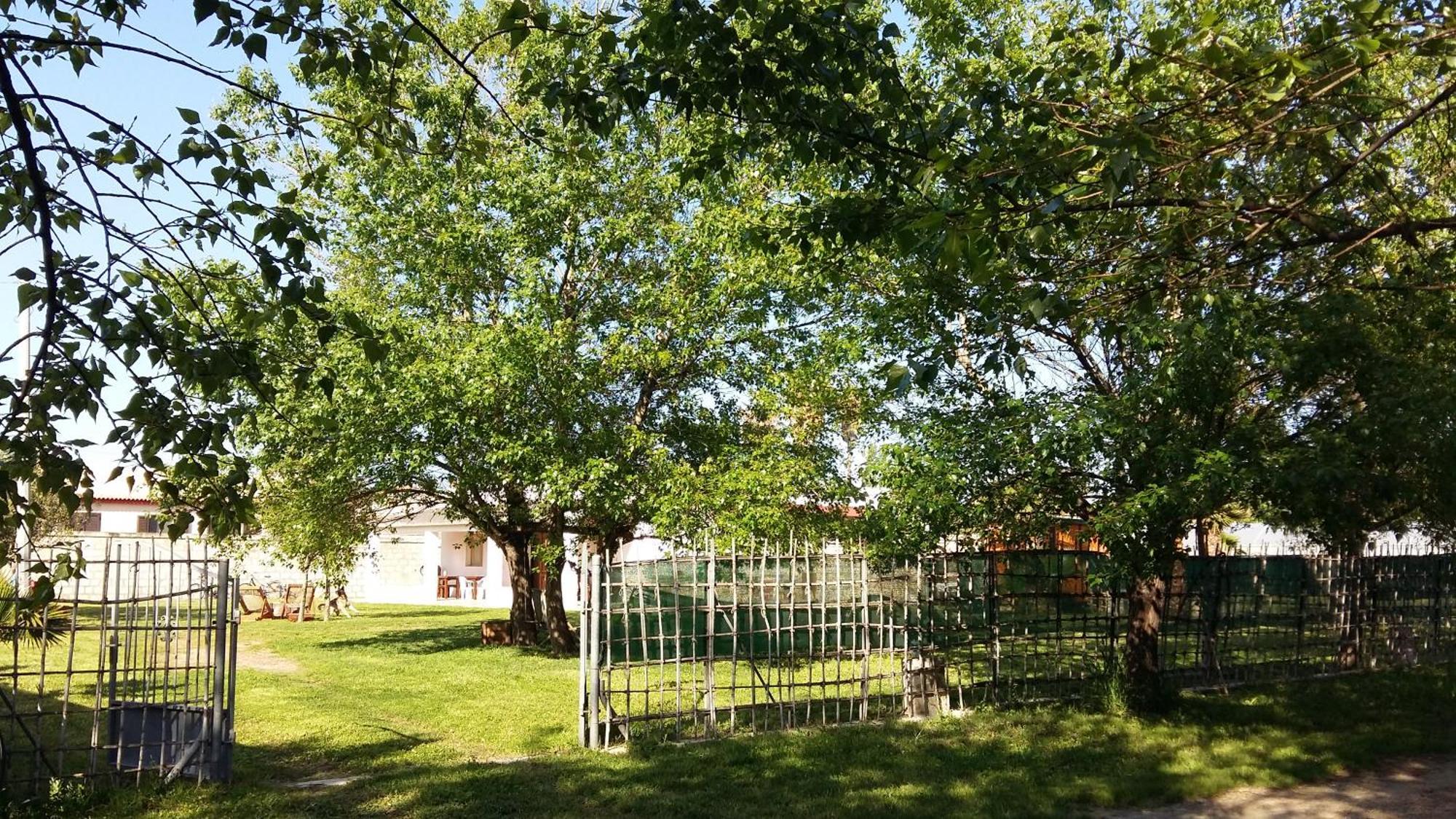 Villa Luna A Pochi Passi Dalla Spiaggia 阿沃拉 外观 照片