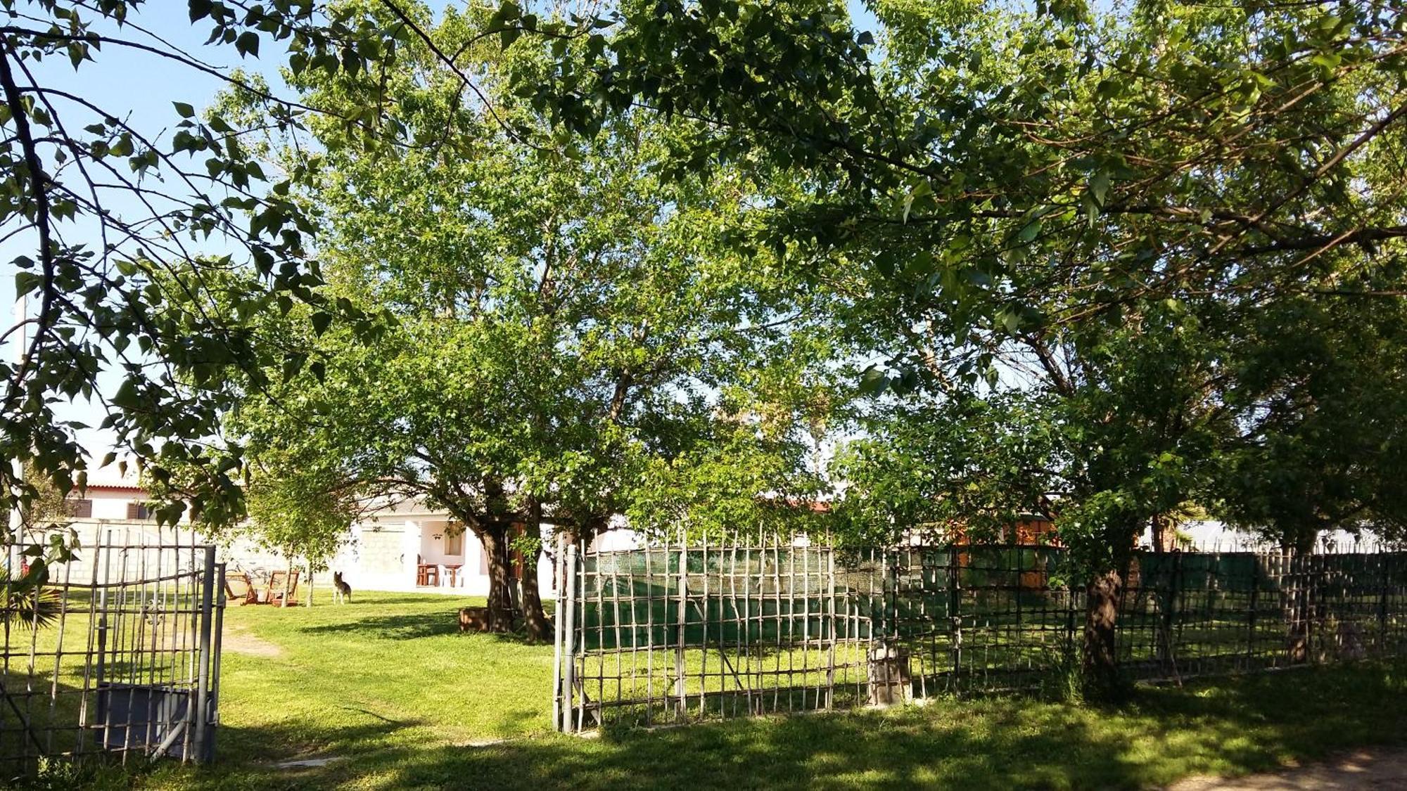 Villa Luna A Pochi Passi Dalla Spiaggia 阿沃拉 外观 照片